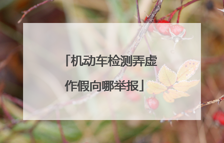 机动车检测弄虚作假向哪举报