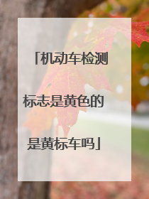 机动车检测标志是黄色的是黄标车吗