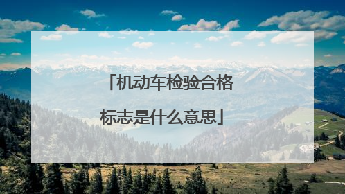 机动车检验合格标志是什么意思
