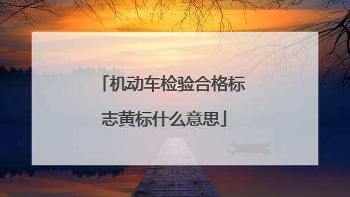 机动车检验合格标志黄标什么意思