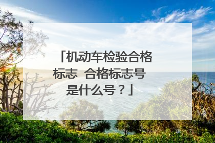 机动车检验合格标志 合格标志号是什么号？