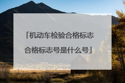 机动车检验合格标志 合格标志号是什么号