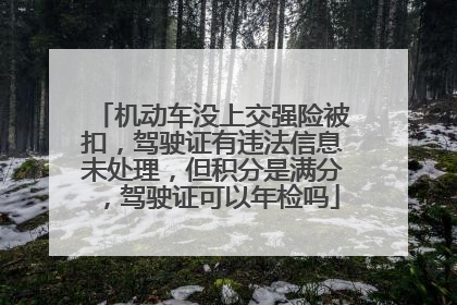 机动车没上交强险被扣，驾驶证有违法信息未处理，但积分是满分，驾驶证可以年检吗