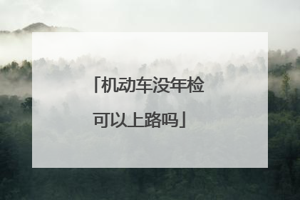 机动车没年检可以上路吗