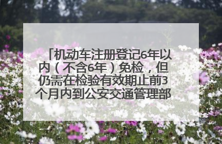 机动车注册登记6年以内（不含6年）免检，但仍需在检验有效期止前3个月内到公安交通管理部门领取检验标
