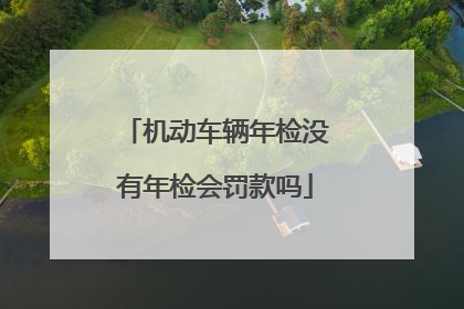 机动车辆年检没有年检会罚款吗