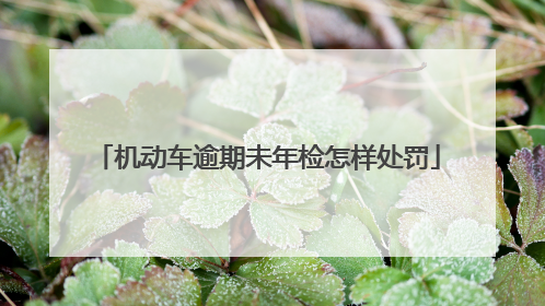 机动车逾期未年检怎样处罚