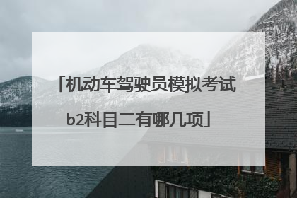 机动车驾驶员模拟考试b2科目二有哪几项