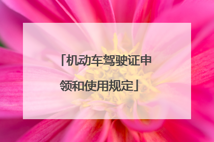 机动车驾驶证申领和使用规定
