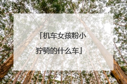 机车女孩粉小狞骑的什么车