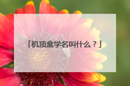 机顶盒学名叫什么？