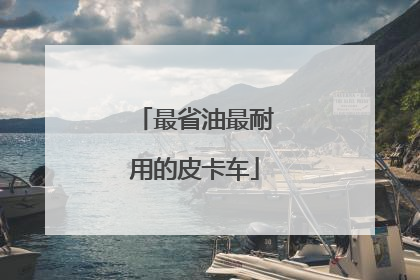 最省油最耐用的皮卡车