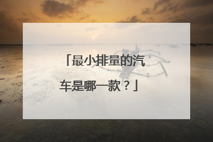 最小排量的汽车是哪一款？