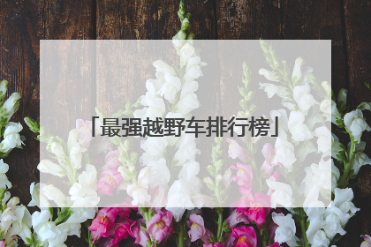 最强越野车排行榜