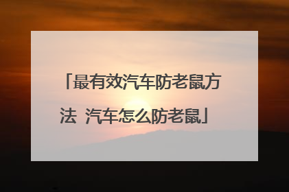 最有效汽车防老鼠方法 汽车怎么防老鼠