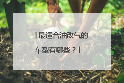 最适合油改气的车型有哪些？