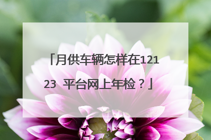月供车辆怎样在12123 平台网上年检？