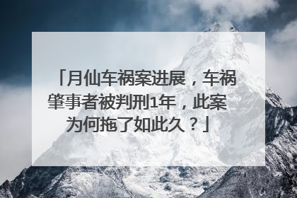 月仙车祸案进展，车祸肇事者被判刑1年，此案为何拖了如此久？