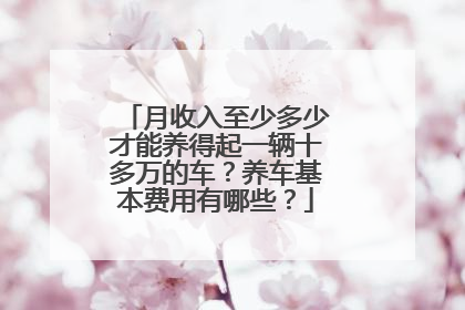 月收入至少多少才能养得起一辆十多万的车？养车基本费用有哪些？