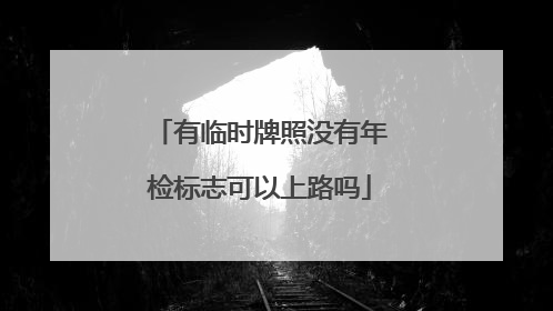 有临时牌照没有年检标志可以上路吗