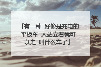 有一种 好像是充电的 平板车 人站立着就可以走 叫什么车了