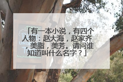 有一本小说，有四个人物：赵大海，赵家齐，美脂，美芳。请问谁知道叫什么名字？