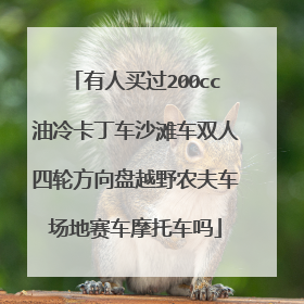 有人买过200cc油冷卡丁车沙滩车双人四轮方向盘越野农夫车场地赛车摩托车吗