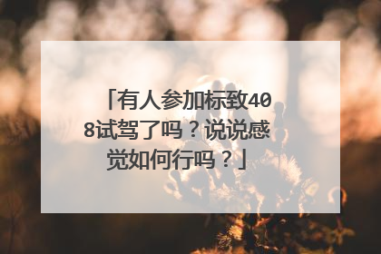 有人参加标致408试驾了吗？说说感觉如何行吗？