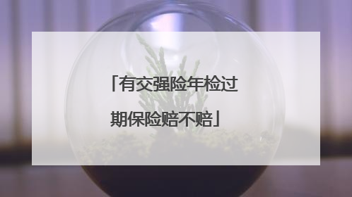 有交强险年检过期保险赔不赔
