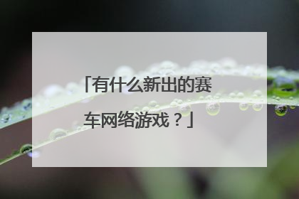 有什么新出的赛车网络游戏？