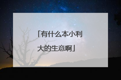 有什么本小利大的生意啊
