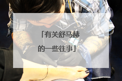 有关舒马赫的一些往事