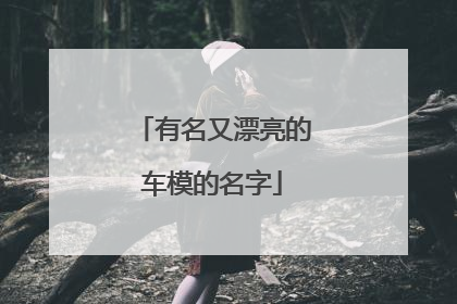 有名又漂亮的车模的名字