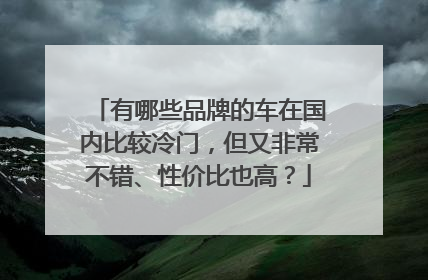 有哪些品牌的车在国内比较冷门，但又非常不错、性价比也高？