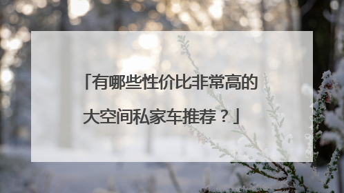 有哪些性价比非常高的大空间私家车推荐？