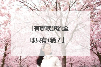 有哪款超跑全球只有1辆？