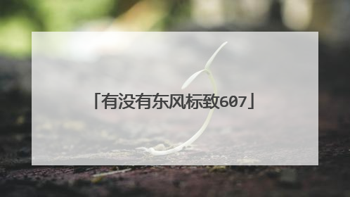 有没有东风标致607