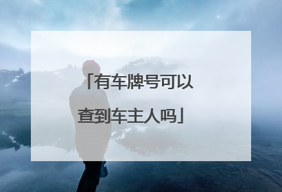 有车牌号可以查到车主人吗
