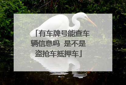 有车牌号能查车辆信息吗 是不是盗抢车抵押车