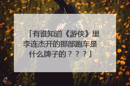 有谁知道《游侠》里李连杰开的那部跑车是什么牌子的？？？