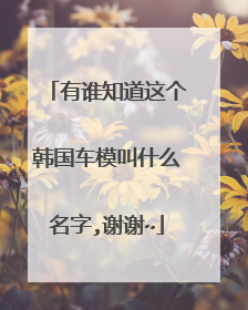 有谁知道这个韩国车模叫什么名字,谢谢~
