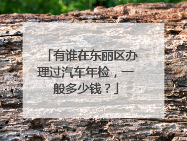 有谁在东丽区办理过汽车年检，一般多少钱？