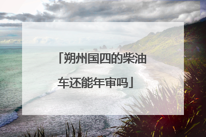 朔州国四的柴油车还能年审吗