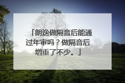 朗逸做隔音后能通过年审吗？做隔音后增重了不少。