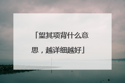 望其项背什么意思，越详细越好