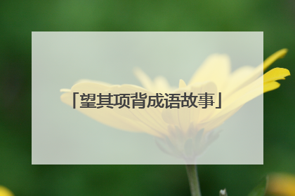 望其项背成语故事
