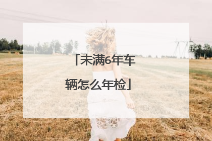 未满6年车辆怎么年检