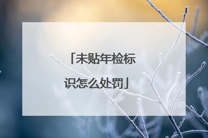 未贴年检标识怎么处罚