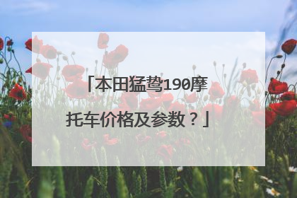 本田猛鸷190摩托车价格及参数？