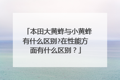 本田大黄蜂与小黄蜂有什么区别?在性能方面有什么区别？